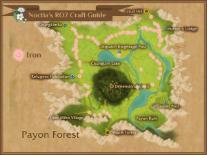 RO2 Iron Payon Forest
